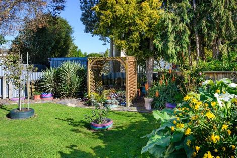 Photo of property in 14 Mcclure Street, Feilding, 4702