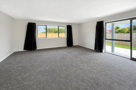 Photo of property in 213a Kimbolton Road, Feilding, 4702