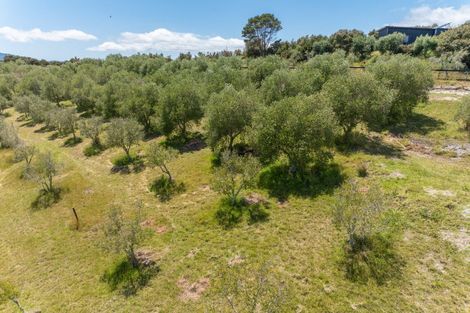 Photo of property in 121b Olive View Heights Drive, Taipa, 0420