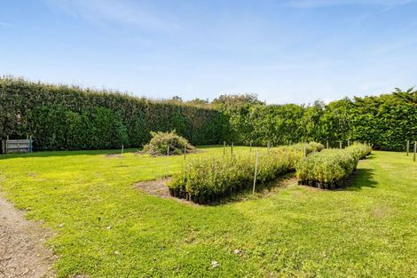 Photo of property in 183 Tasman Street, Opunake, 4616