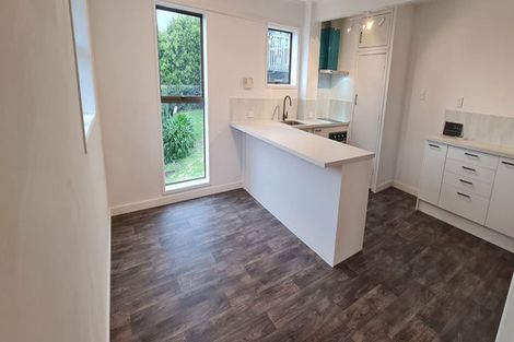 Photo of property in 44 Exmouth Road, Northcote, Auckland, 0627