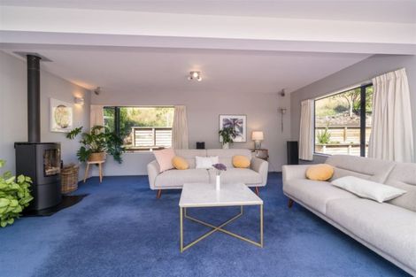 Photo of property in 9 Ribbonwood Close, Normanby, Dunedin, 9010