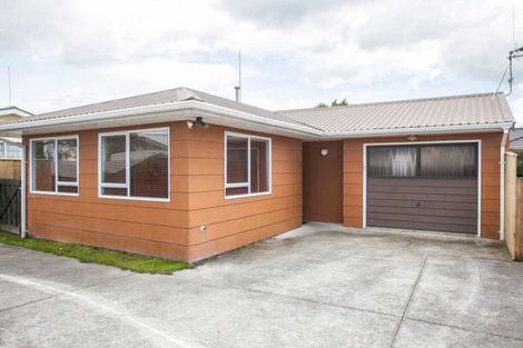 Photo of property in 15 Millar Street, Terrace End, Palmerston North, 4410