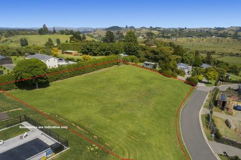 Photo of property in 1 Waimanu Lane, Bethlehem, Tauranga, 3110