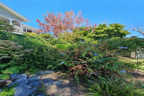 Photo of property in 117 Edward Street, Thames, 3500