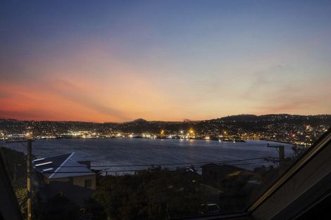 Photo of property in 17 Shandon Road, Vauxhall, Dunedin, 9013