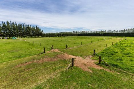 Photo of property in 49 Riverlea Downs, Broadlands, Reporoa, 3081