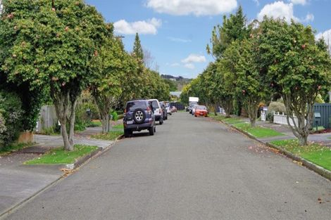 Photo of property in 24 Erin Street, Hokowhitu, Palmerston North, 4410