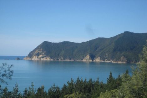 Photo of property in 502 Waipiro Road, Waipiro, Tokomaru Bay, 4079