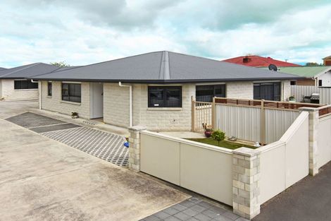 Photo of property in 20 Worksop Road, Masterton, 5810