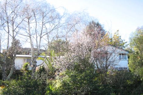 Photo of property in 41 Joll Road, Havelock North, 4130