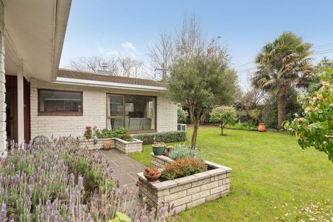 Photo of property in 20 Totara Street, Lansdowne, Masterton, 5810