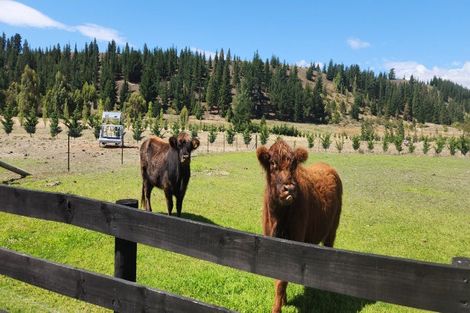 Photo of property in 94 Airport Road, Alexandra, 9391