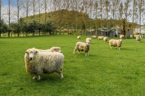 Photo of property in 125 Leyland Road, Whakamarama, Tauranga, 3179