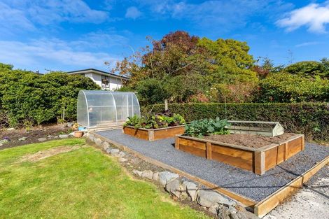 Photo of property in 71 Aberdeen Road, Saint Clair, Dunedin, 9012