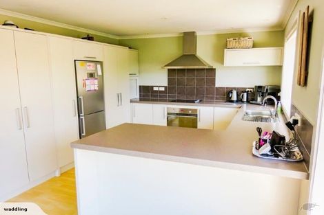 Photo of property in 17 Thomas Moore Place, Pukekohe, 2120