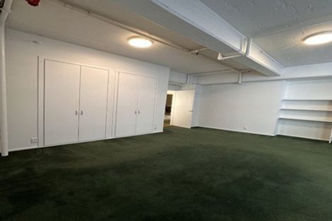 Photo of property in 6c Halleys Lane, Te Aro, Wellington, 6011