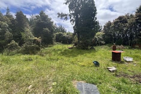 Photo of property in 236 Omoto Valley Road, Kaiata, Greymouth, 7805