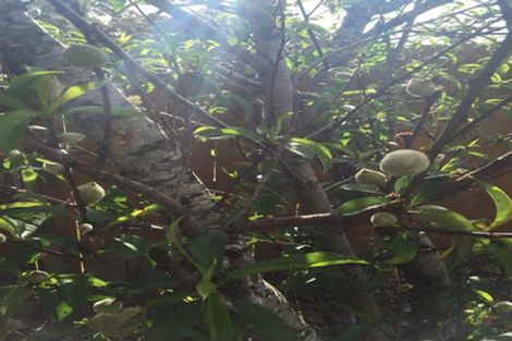 Photo of property in 90 Tiriwa Drive, Massey, Auckland, 0614