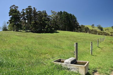 Photo of property in 535 Whakapirau Road, Whakapirau, Maungaturoto, 0583