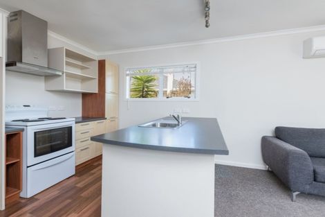 Photo of property in 19 Elizabeth Street, Richmond, 7020