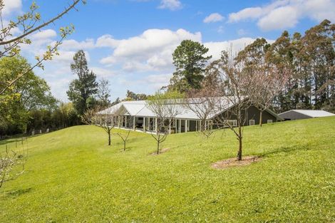 Photo of property in 245 Wharawhara Road, Tahawai, Katikati, 3178