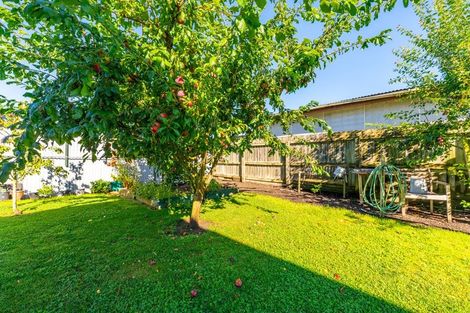 Photo of property in 7 Campbell Street, Maori Hill, Timaru, 7910