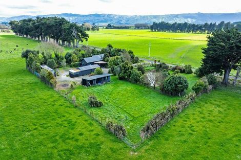 Photo of property in 111 Bowman Road, Woodville, 4999
