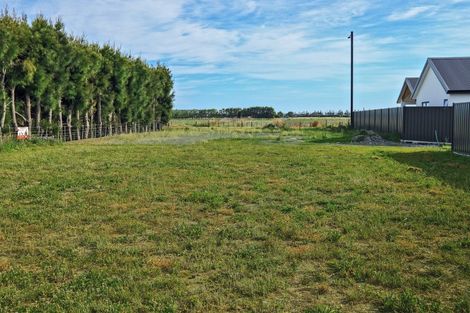 Photo of property in 61 Wai Whatu Street, Meeanee, Napier, 4110