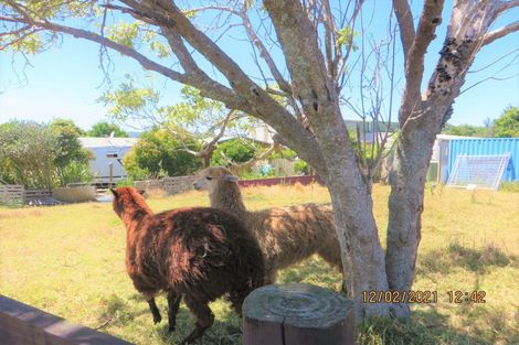 Photo of property in 141 Jesmond Road, Karaka, Drury, 2578