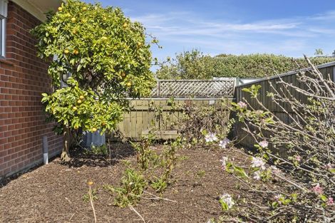 Photo of property in 57d Ballance Street, Lower Vogeltown, New Plymouth, 4310