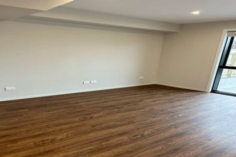 Photo of property in 21a Ferguson Street, Levin, 5510