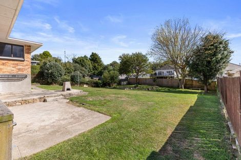 Photo of property in 16 Clothier Street, Putaruru, 3411