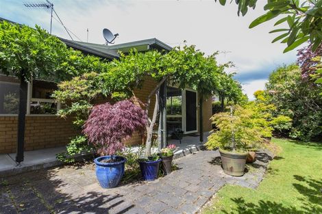 Photo of property in 13a Bay Road, Oxford, 7430