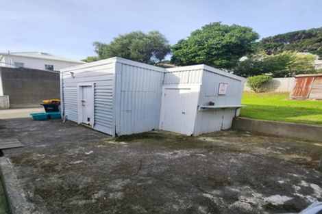 Photo of property in 113 Austin Street, Mount Victoria, Wellington, 6011