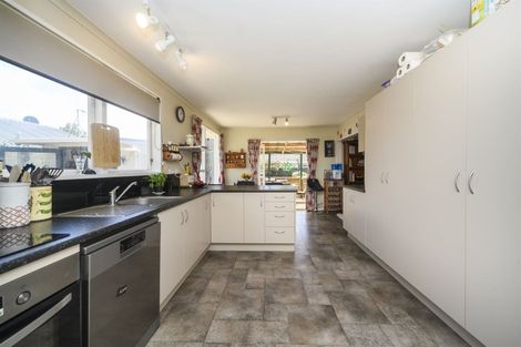 Photo of property in 127 Stanford Street North, Ashhurst, 4810