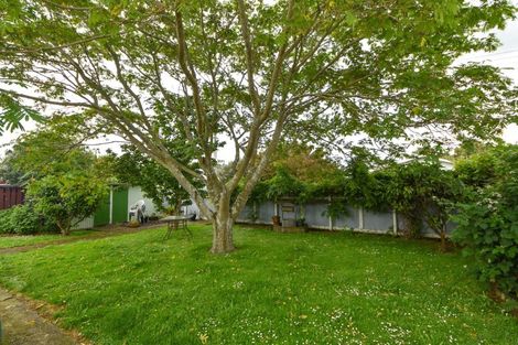 Photo of property in 25 Diamond Street, Carterton, 5713