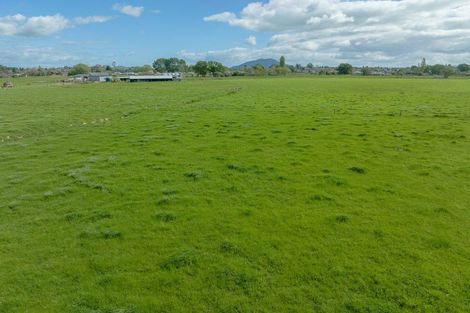 Photo of property in 650 Cambridge Road, Te Awamutu, 3800