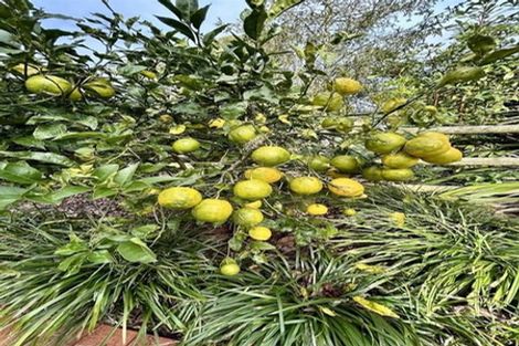 Photo of property in 115 Great South Road, Ohaupo, 3803