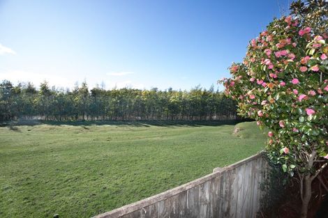 Photo of property in 12 Ruawai Road, Feilding, 4702