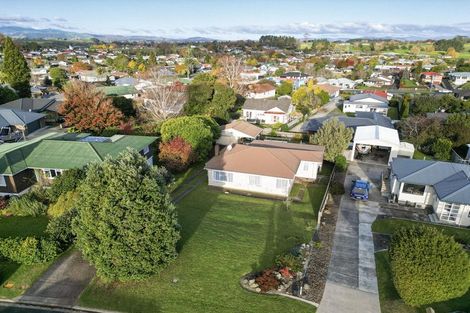 Photo of property in 151 Te Tomo Street, Te Awamutu, 3800