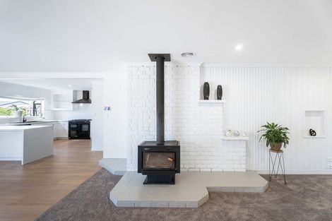 Photo of property in 51 Quayle Street, Motueka, 7120