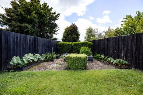 Photo of property in 16 Derwent Place, Flagstaff, Hamilton, 3210