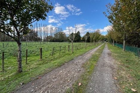 Photo of property in 802 Papaiti Road, Papaiti, Whanganui, 4584