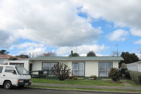 Photo of property in 11 Strathmore Avenue, Levin, 5510