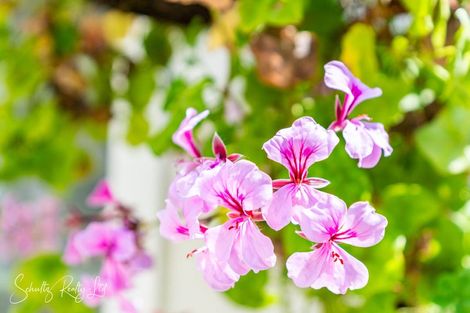 Photo of property in 5a Whaka Street, Maungaturoto, 0520