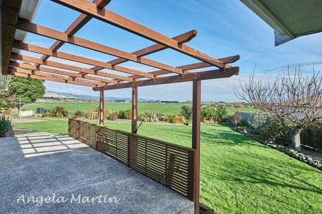Photo of property in 39 Tokomaru Road, Tokomaru, Palmerston North, 4474