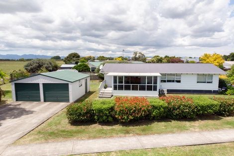 Photo of property in 26 Mahana Road, Ngatea, 3503
