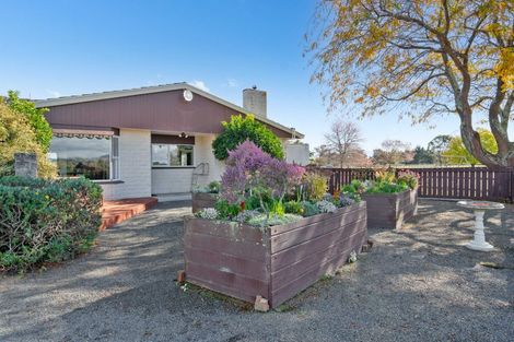 Photo of property in 237 Te Whiti Road, Homebush, Masterton, 5885