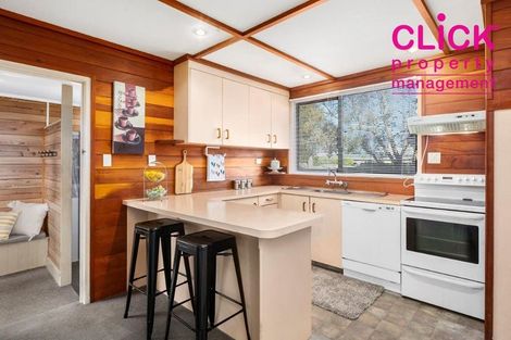 Photo of property in 186 Scott Street, Waverley, Dunedin, 9013